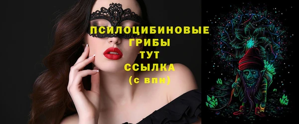 МДПВ Ельня