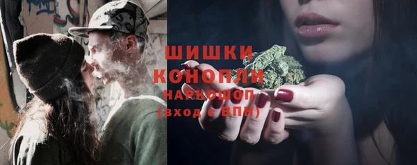 МДПВ Ельня