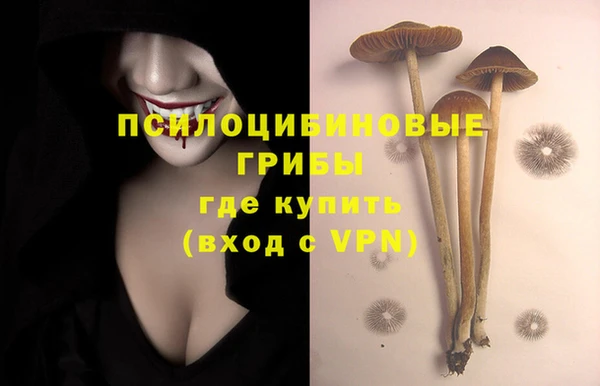MESCALINE Елизово