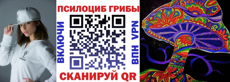 Псилоцибиновые грибы Psilocybe  Новосибирск 